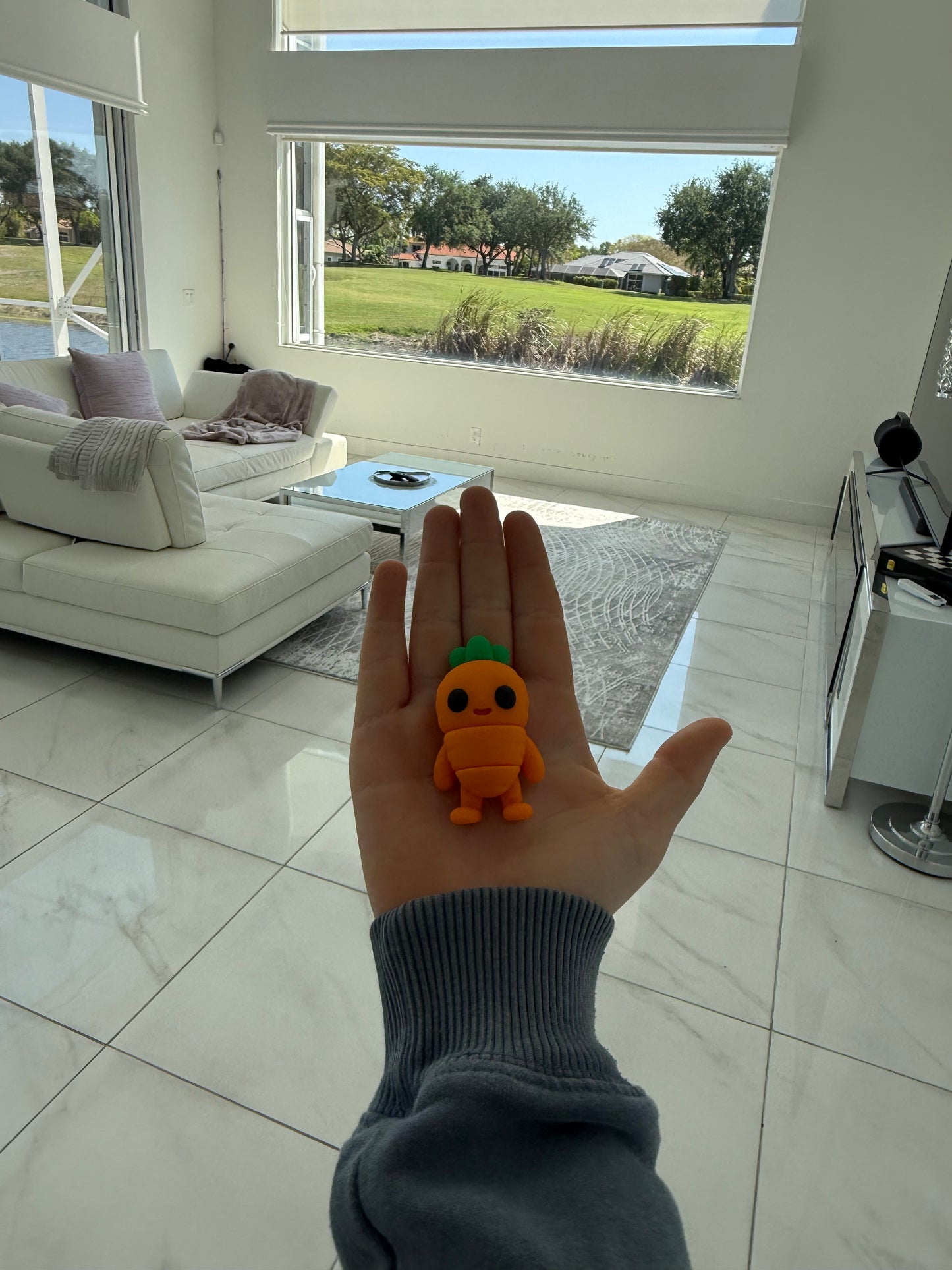 Pocket Pals