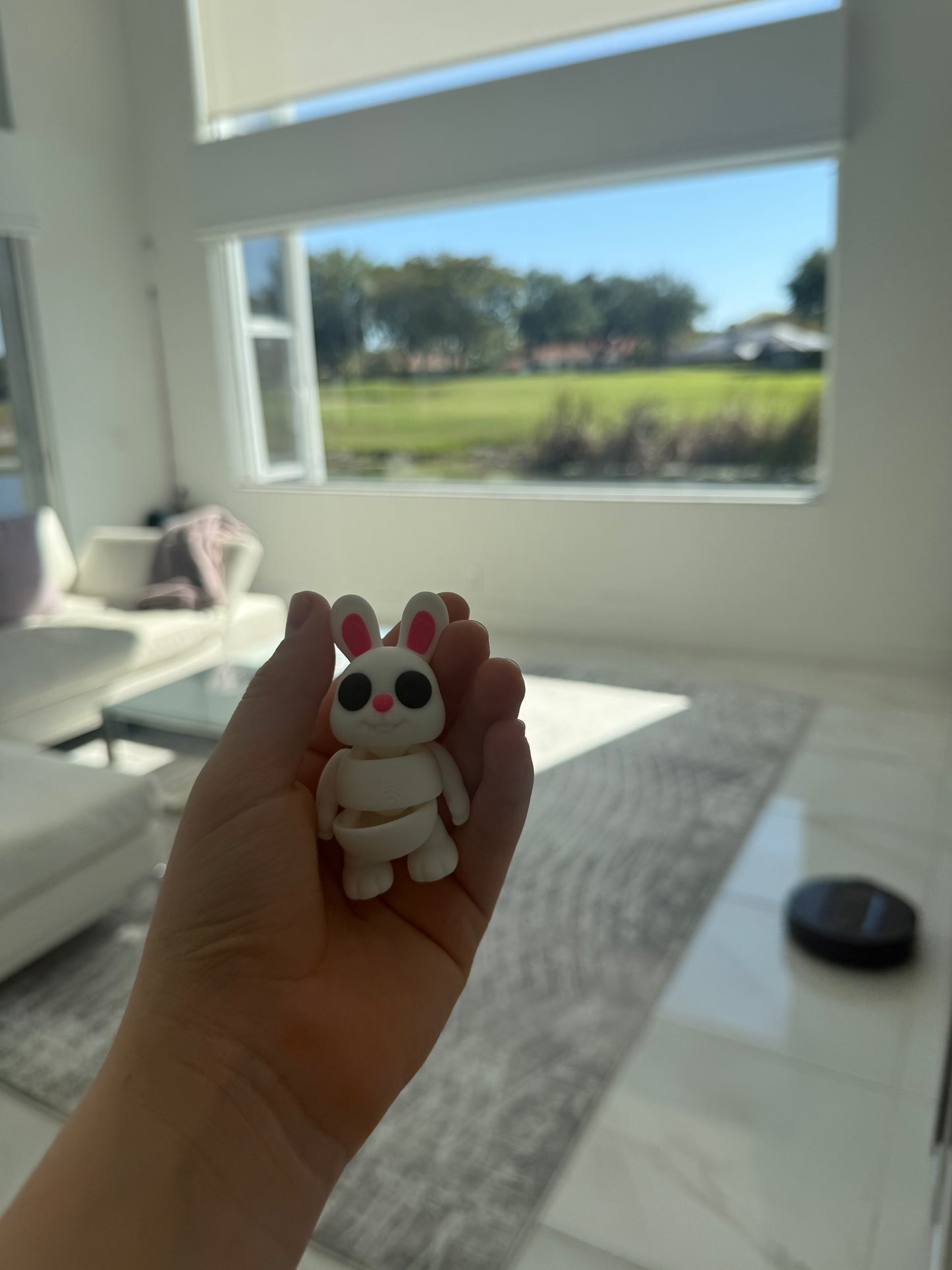 Pocket Pals
