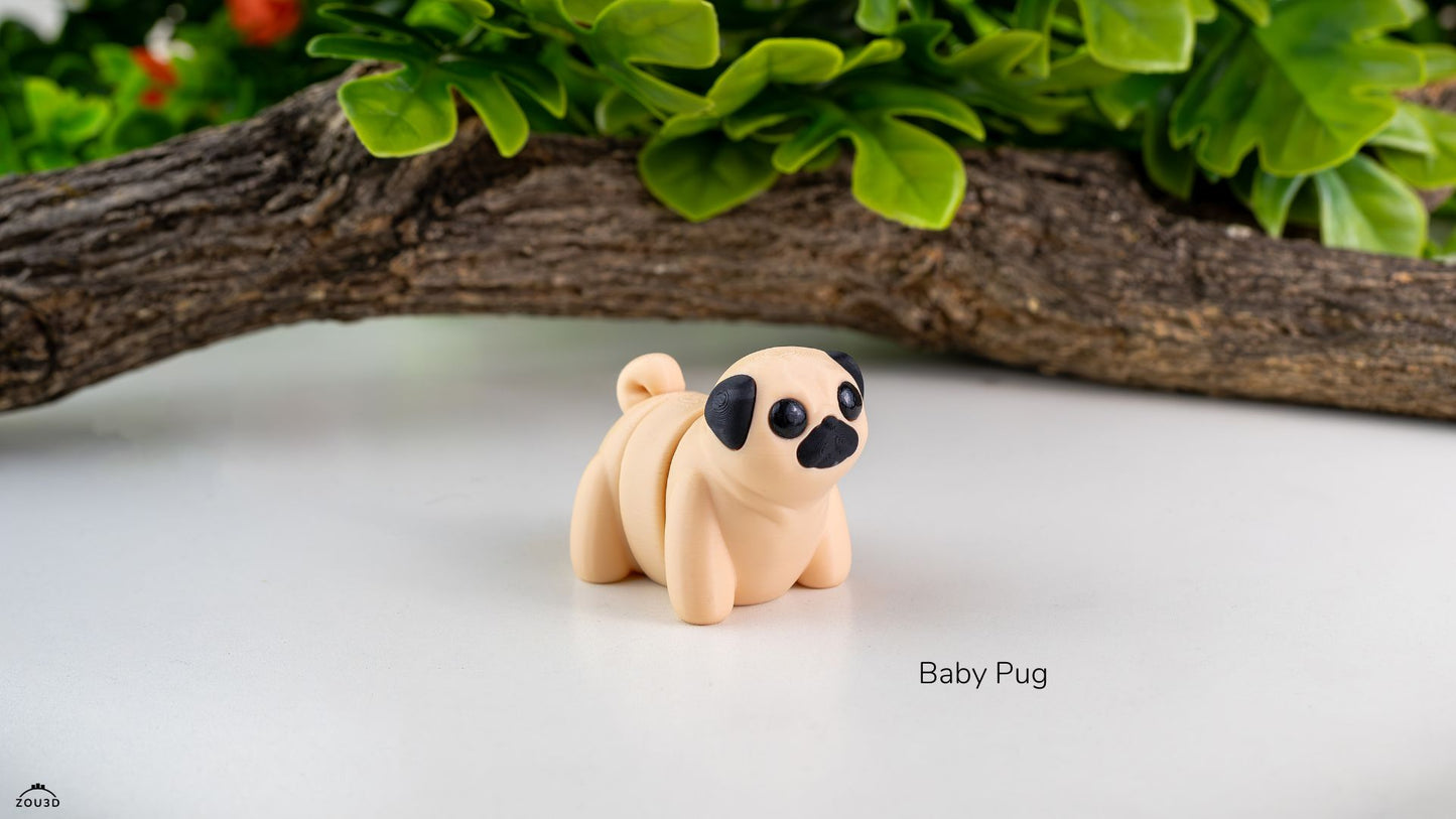 Pocket Pals