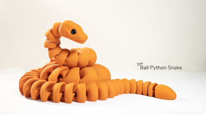 Ball Python